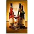 thumbnail image 1 of Trademark Fine Art "Choices" Canvas Art by Roderick Stevens, 1 of 1