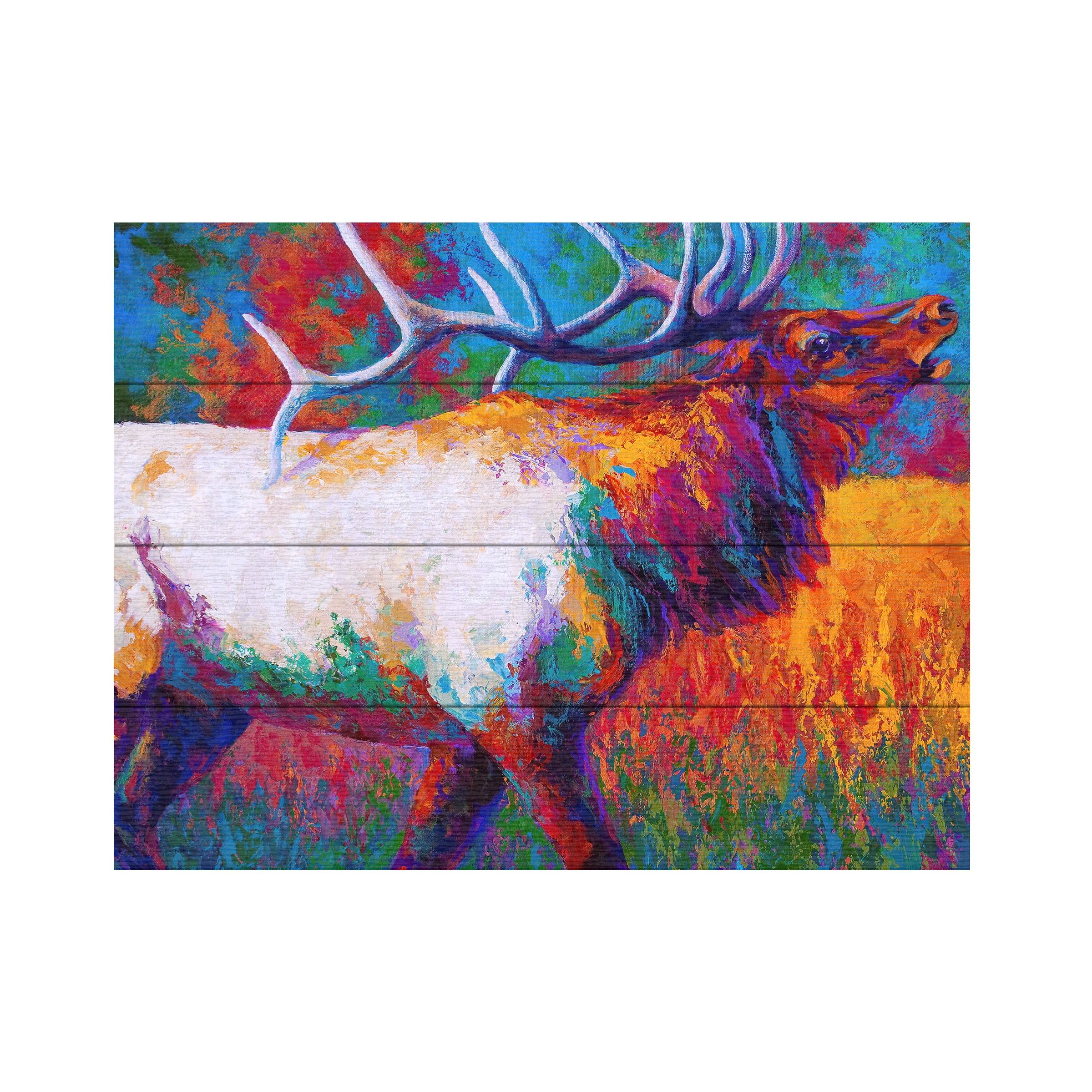 Trademark Fine Art Chorus Elk by Marion Rose， Wood Slats 12x16