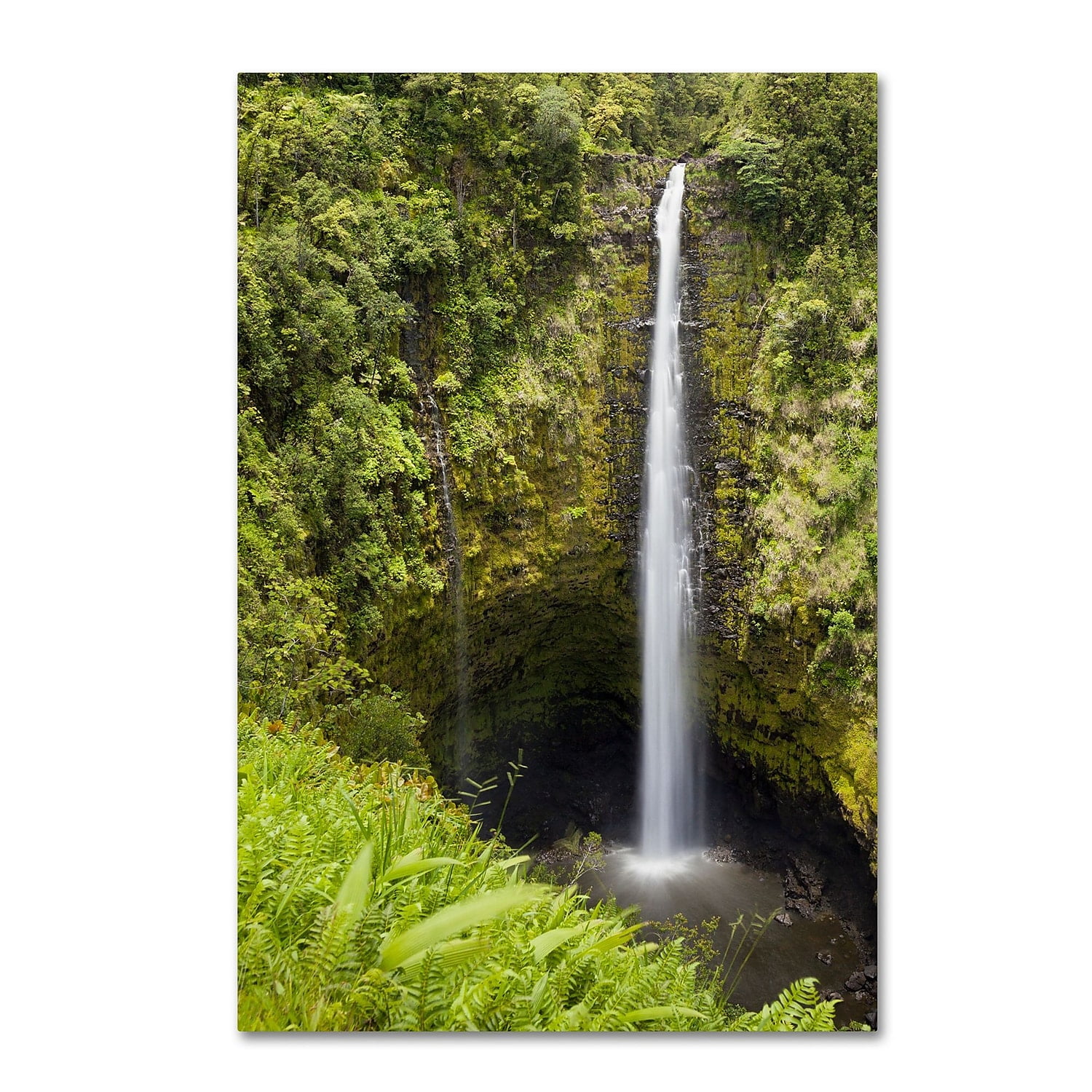 Akaka Falls Green Scenic Canvas Graphic Art 16 x 24