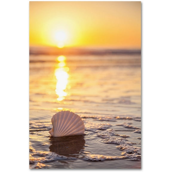 Trademark Fine Art Chris Moyer 'Pop The Bubbly' 12 x 19 (ALI0774-C1219GG)