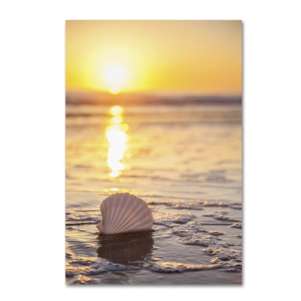 Trademark Fine Art Chris Moyer 'Pop The Bubbly' 30 x 47 (ALI0774-C3047GG)