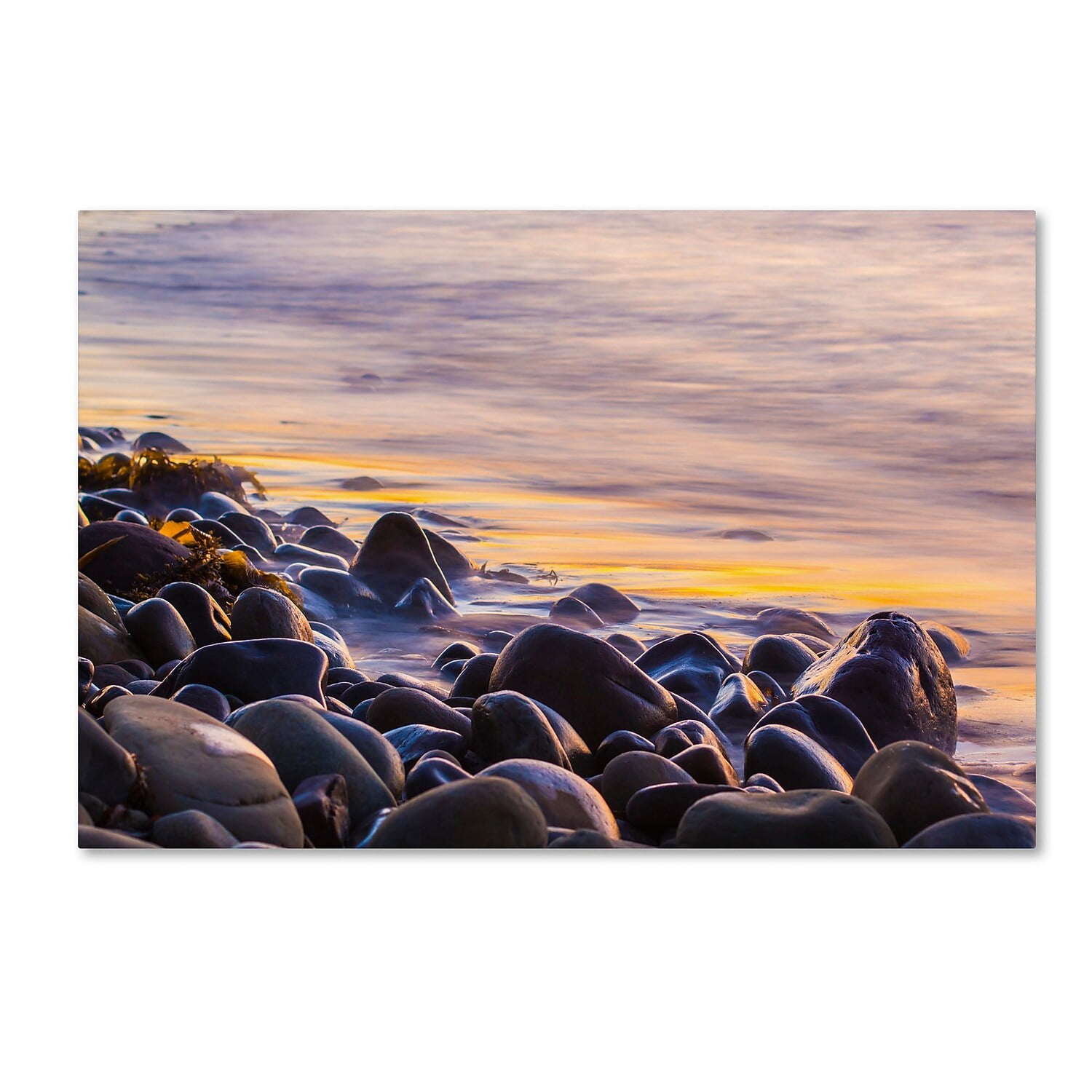 Trademark Fine Art Chris Moyer 'Wet Rock Reflections' 12 x 19 (ALI0767-C1219GG)