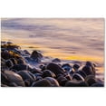 thumbnail image 1 of Trademark Fine Art Chris Moyer 'Wet Rock Reflections' 30 x 47 (ALI0767-C3047GG), 1 of 4