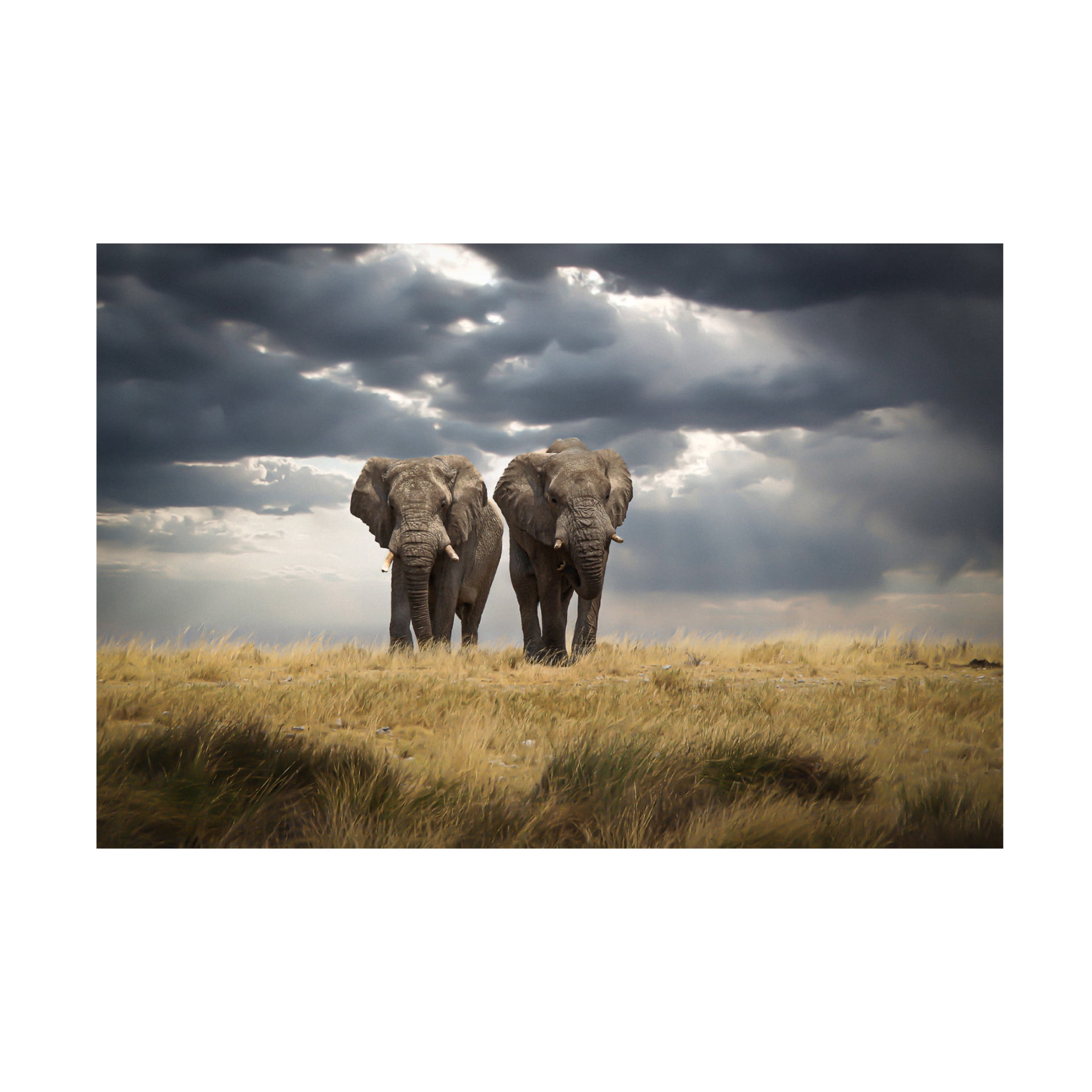 Trademark Fine Art Christian Kurz  Brothers Canvas Wall Art