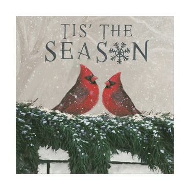 Trademark Fine Art 'Christmas Affinity X Two Birds' Canvas Art by James Wiens