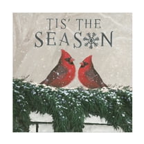 Trademark Fine Art 'Christmas Affinity X Two Birds' Canvas Art by James Wiens