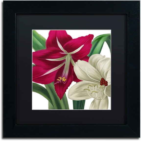 Trademark Fine Art "Christmas Amaryllis I" Canvas Art by Color Bakery Black Matte, Black Frame