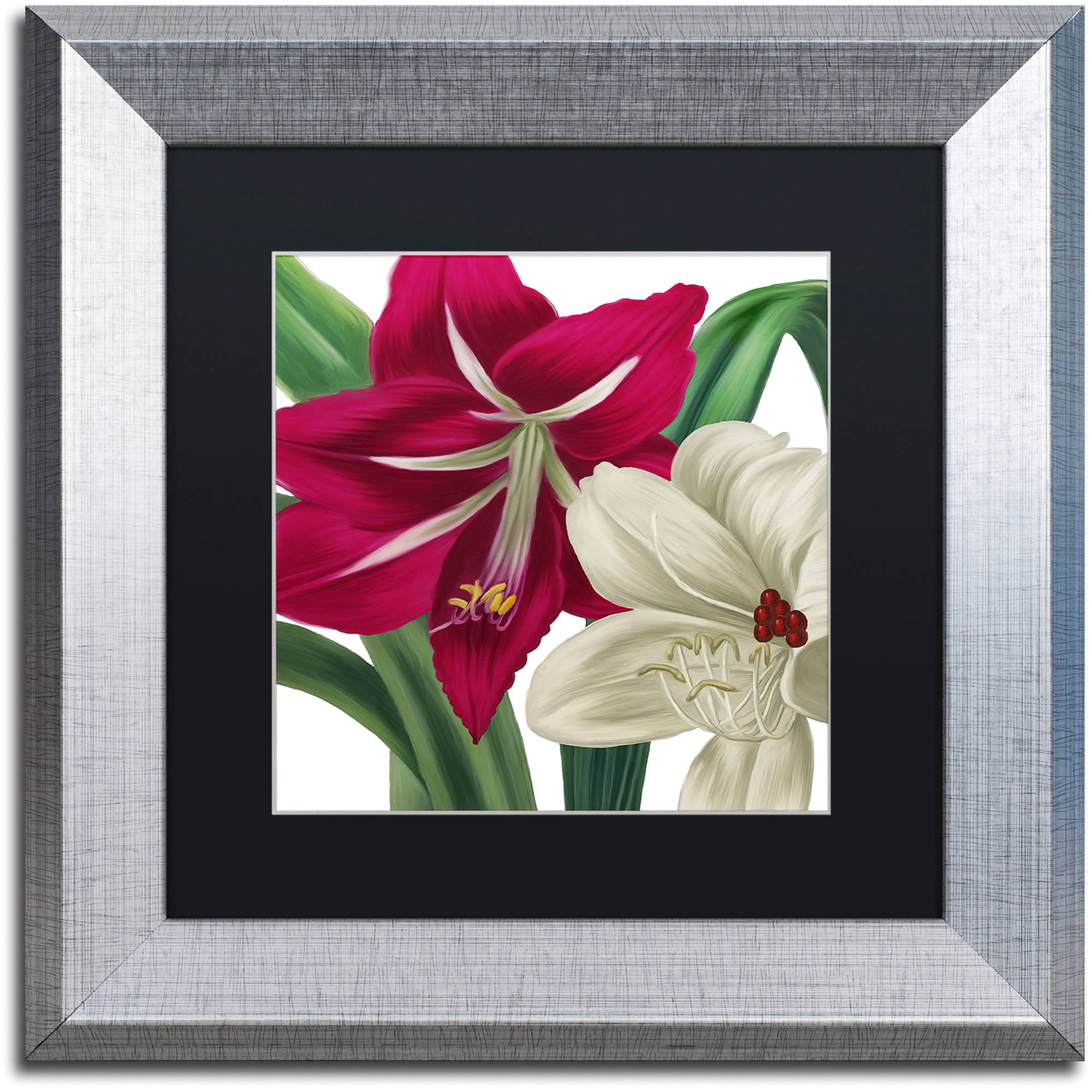 Trademark Fine Art "Christmas Amaryllis I" Canvas Art by Color Bakery Black Matte, Silver Frame