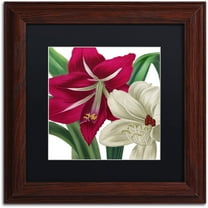 Trademark Fine Art "Christmas Amaryllis I" Canvas Art by Color Bakery Black Matte, Wood Frame