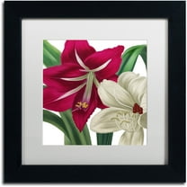 Trademark Fine Art "Christmas Amaryllis I" Canvas Art by Color Bakery White Matte, Black Frame