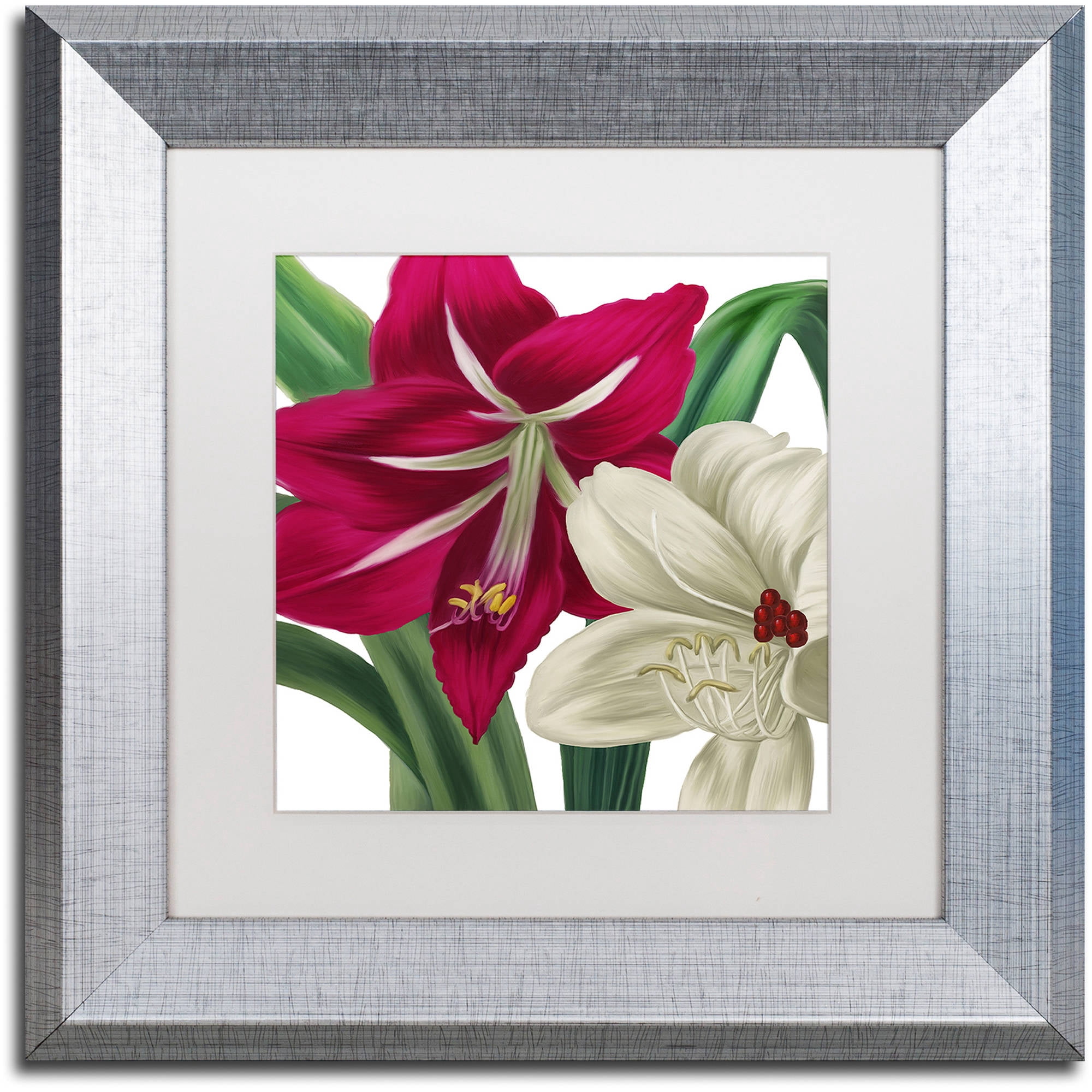 Trademark Fine Art "Christmas Amaryllis I" Canvas Art by Color Bakery White Matte, Silver Frame