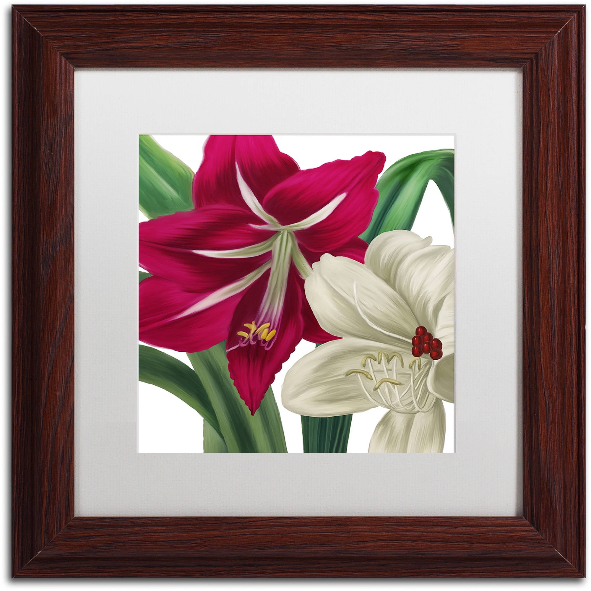 Trademark Fine Art "Christmas Amaryllis I" Canvas Art by Color Bakery White Matte, Wood Frame