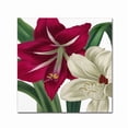 thumbnail image 1 of Trademark Fine Art "Christmas Amaryllis I" Canvas Art by Color Bakery, 1 of 2