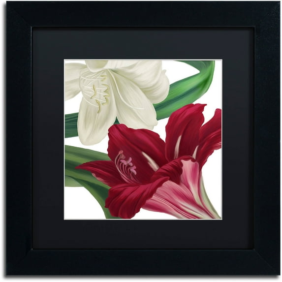 Trademark Fine Art "Christmas Amaryllis II" Canvas Art by Color Bakery Black Matte, Black Frame