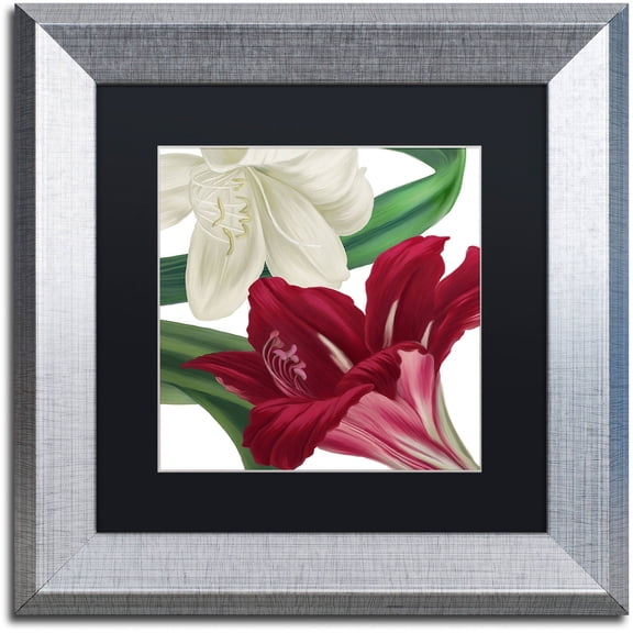 Trademark Fine Art "Christmas Amaryllis II" Canvas Art by Color Bakery Black Matte, Silver Frame