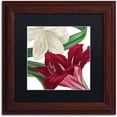 thumbnail image 1 of Trademark Fine Art "Christmas Amaryllis II" Canvas Art by Color Bakery Black Matte, Wood Frame, 1 of 1