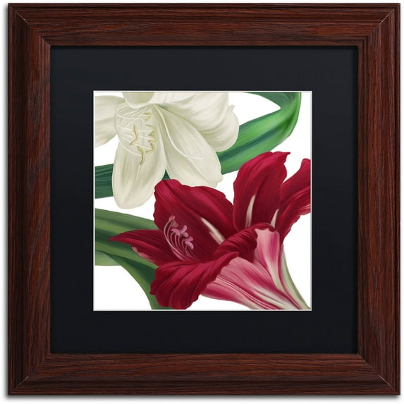 Trademark Fine Art "Christmas Amaryllis II" Canvas Art by Color Bakery Black Matte, Wood Frame