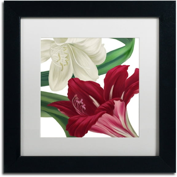 Trademark Fine Art "Christmas Amaryllis II" Canvas Art by Color Bakery White Matte, Black Frame