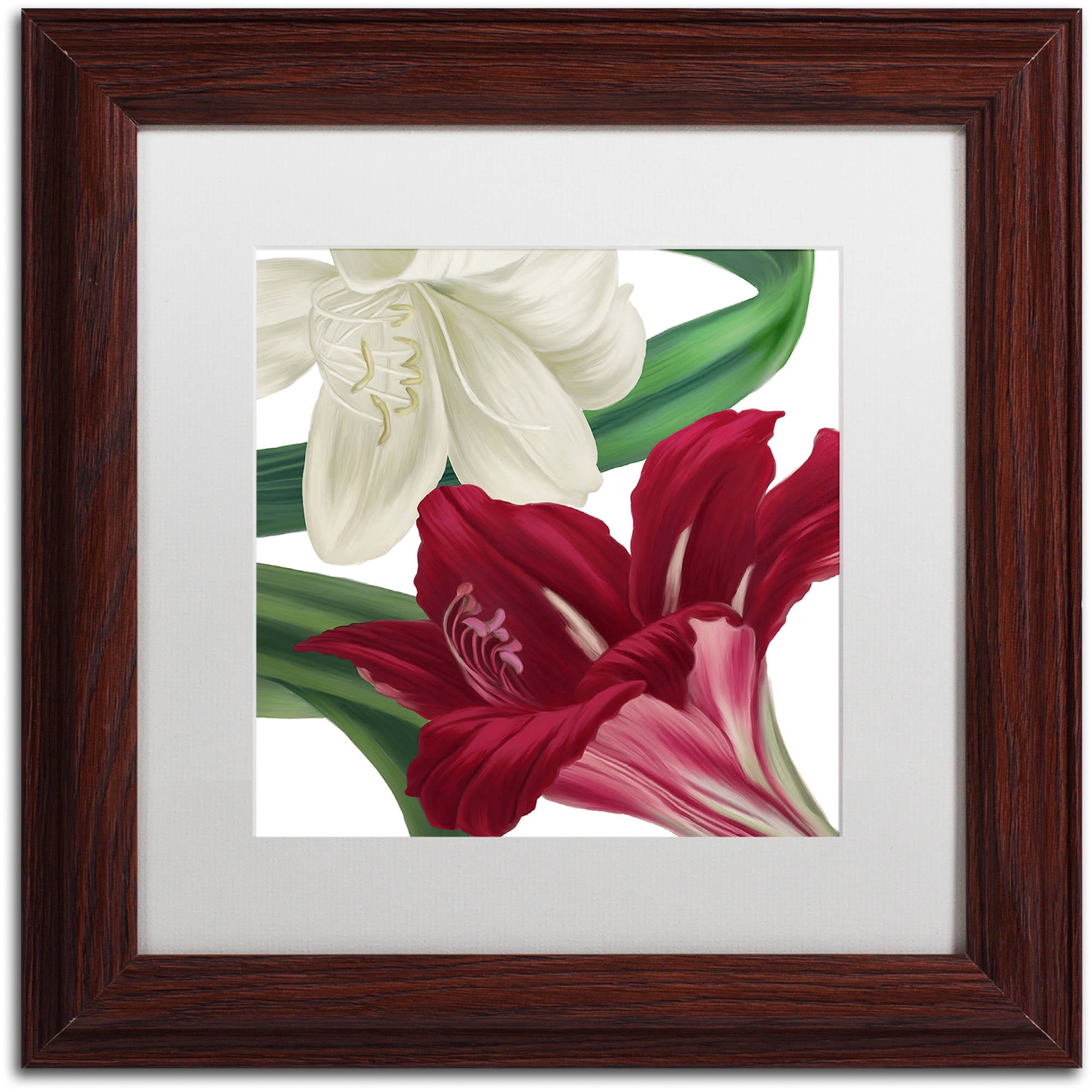 Trademark Fine Art "Christmas Amaryllis II" Canvas Art by Color Bakery White Matte, Wood Frame