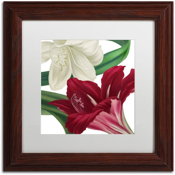 Trademark Fine Art "Christmas Amaryllis II" Canvas Art by Color Bakery White Matte, Wood Frame