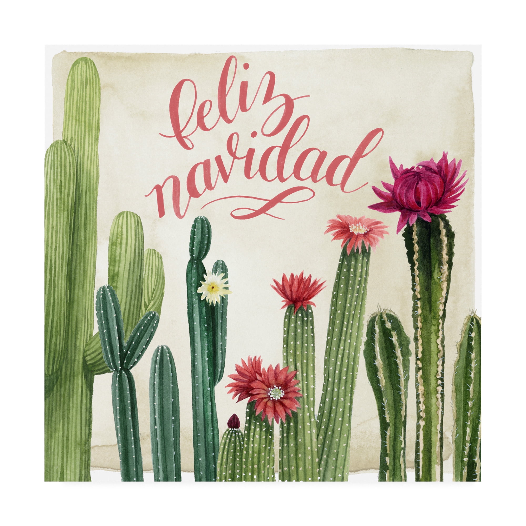 Trademark Fine Art 'Christmas Cactus I' Canvas Art by Grace Popp