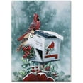 thumbnail image 1 of Trademark Fine Art 'Christmas Cardinals' Canvas Art by Jenny Newland, 1 of 3