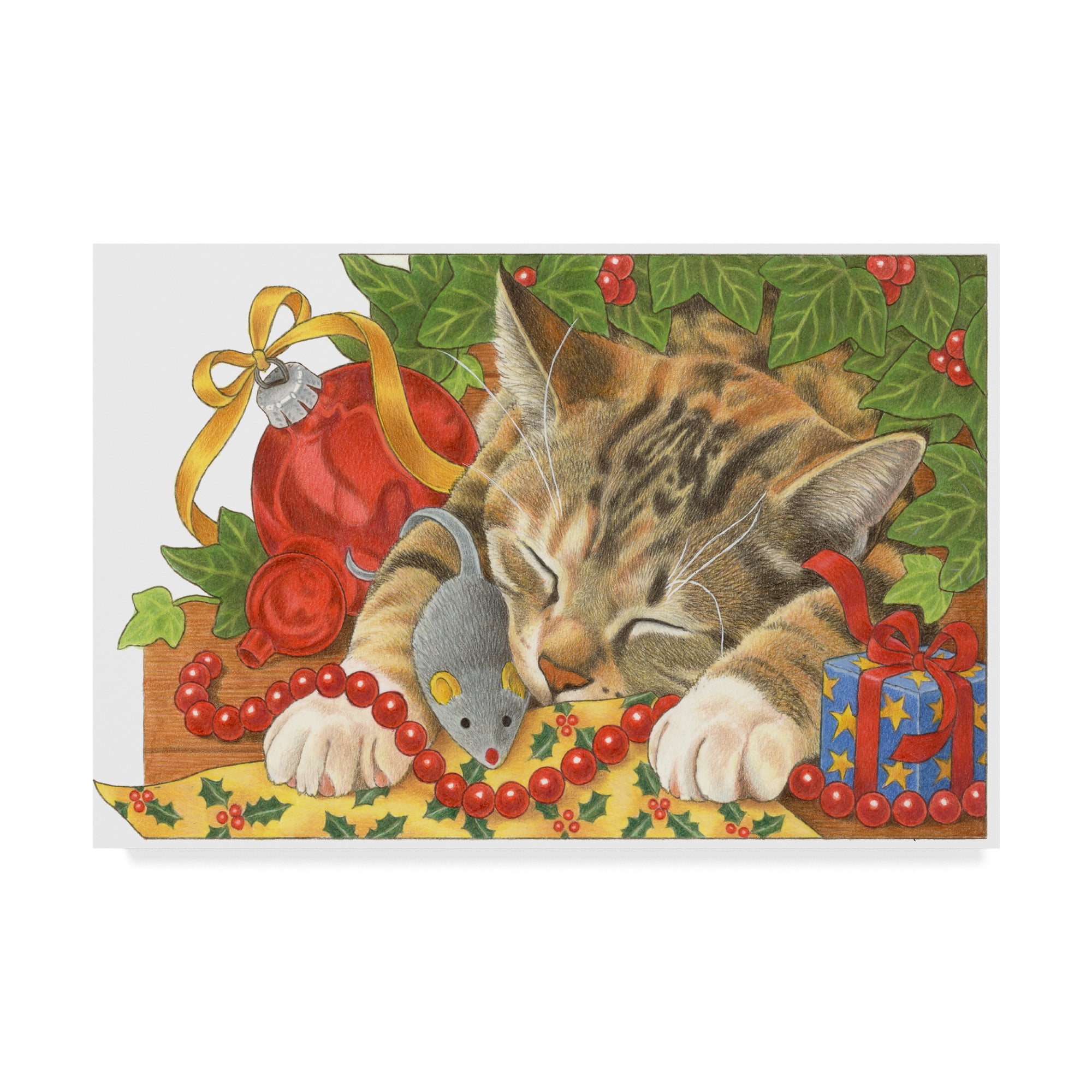 Trademark Fine Art 'Christmas Cat Sleeping' Canvas Art by Francien Van Westering