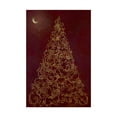 thumbnail image 1 of Trademark Fine Art 'Christmas Tree In Moonlight' Canvas Art by Cora Niele, 1 of 3