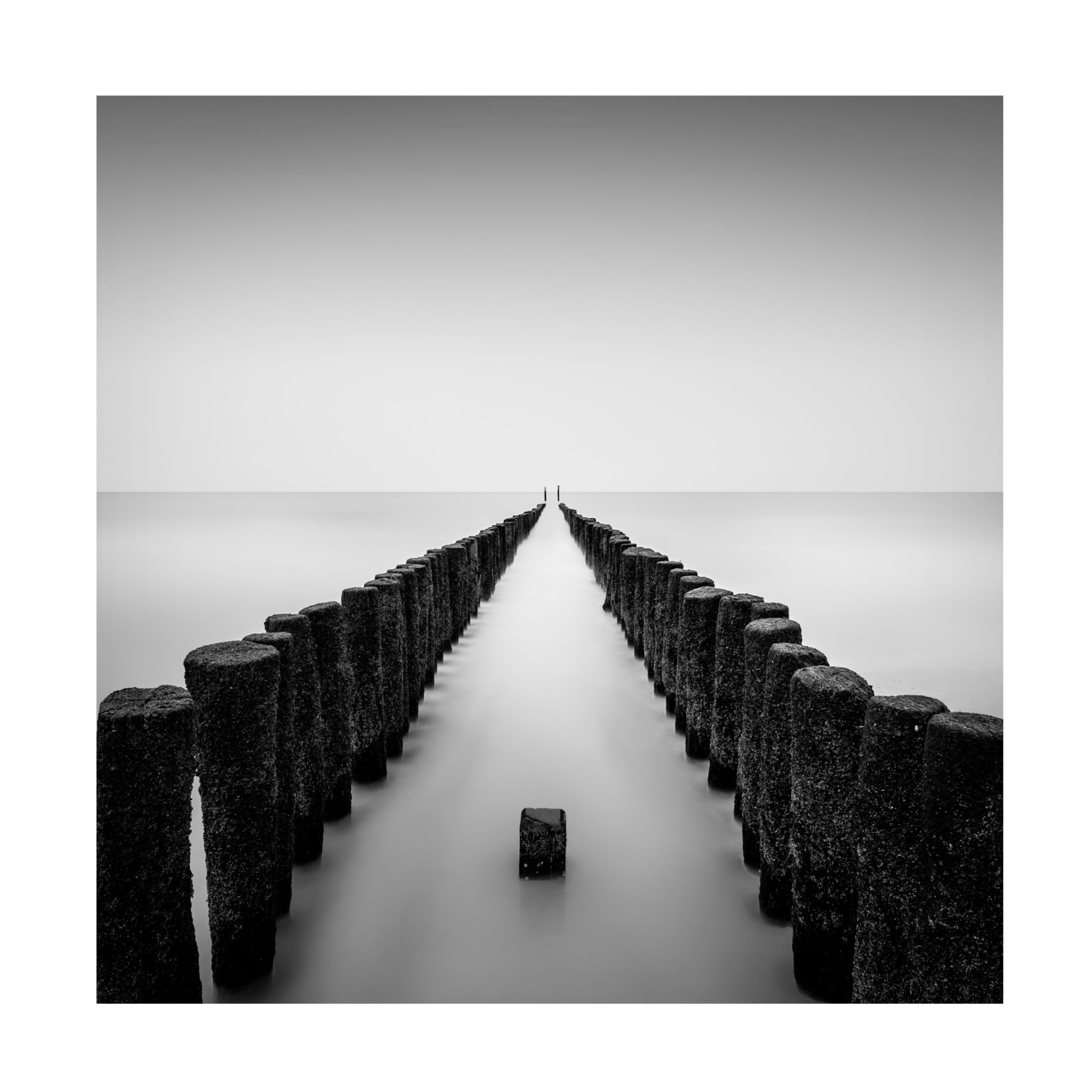 Trademark Fine Art Christophe Staelens Still Standing Canvas Wall Art
