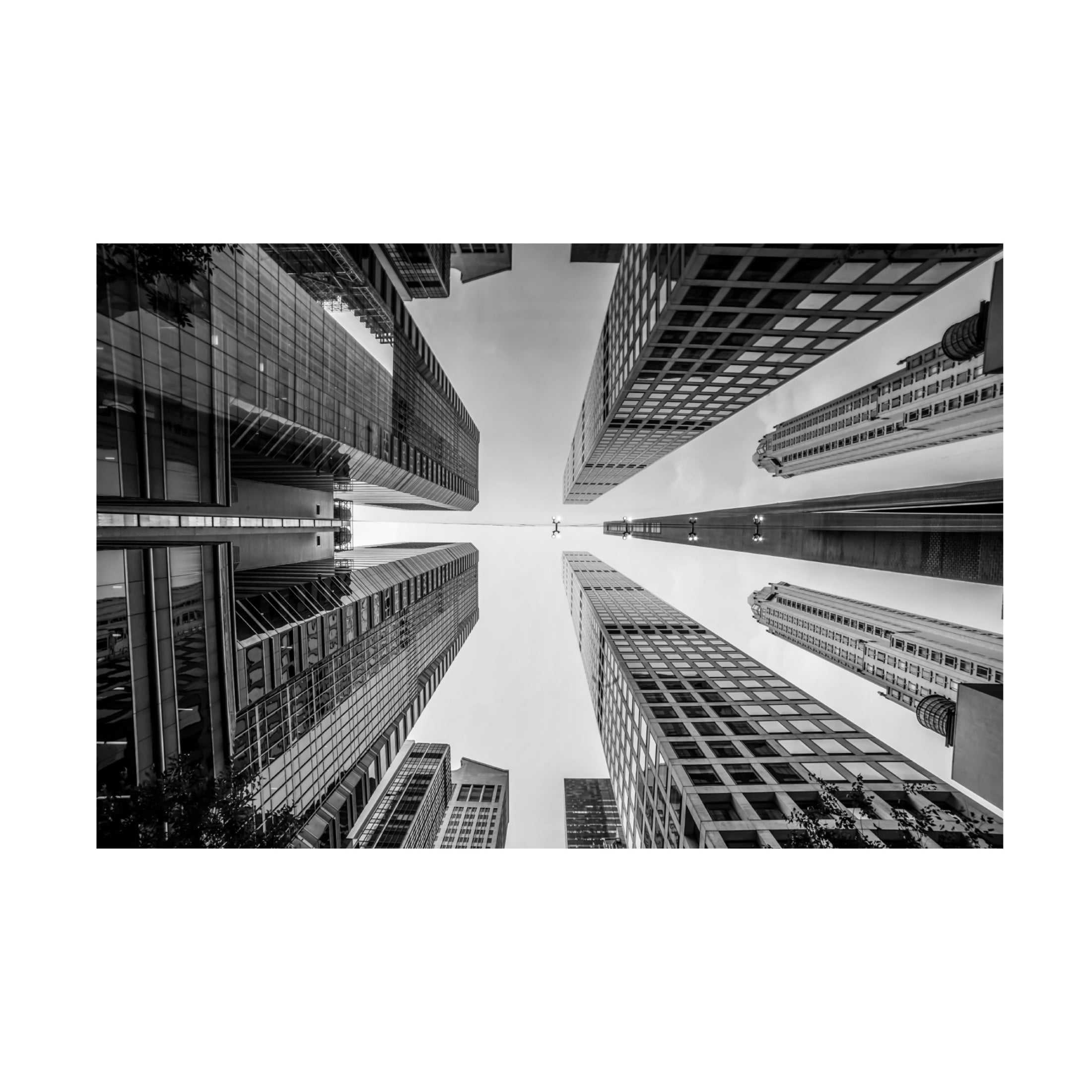 Trademark Fine Art Christopher R Veizaga Things are Looking Up Canvas Wall Art