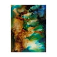 thumbnail image 1 of Trademark Fine Art 'Chromatic Haze I' Canvas Art by Regina Moore, 1 of 4