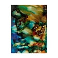 thumbnail image 1 of Trademark Fine Art 'Chromatic Haze II' Canvas Art by Regina Moore, 1 of 4