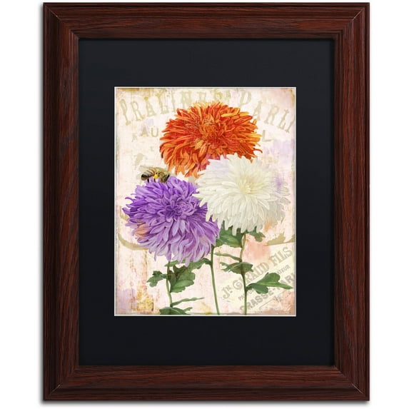 Trademark Fine Art "Chrysanthemums" Canvas Art by Color Bakery Black Matte, Wood Frame