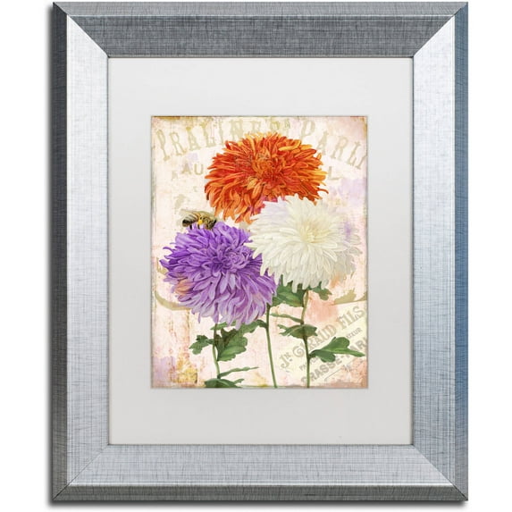 Trademark Fine Art "Chrysanthemums" Canvas Art by Color Bakery White Matte, Silver Frame