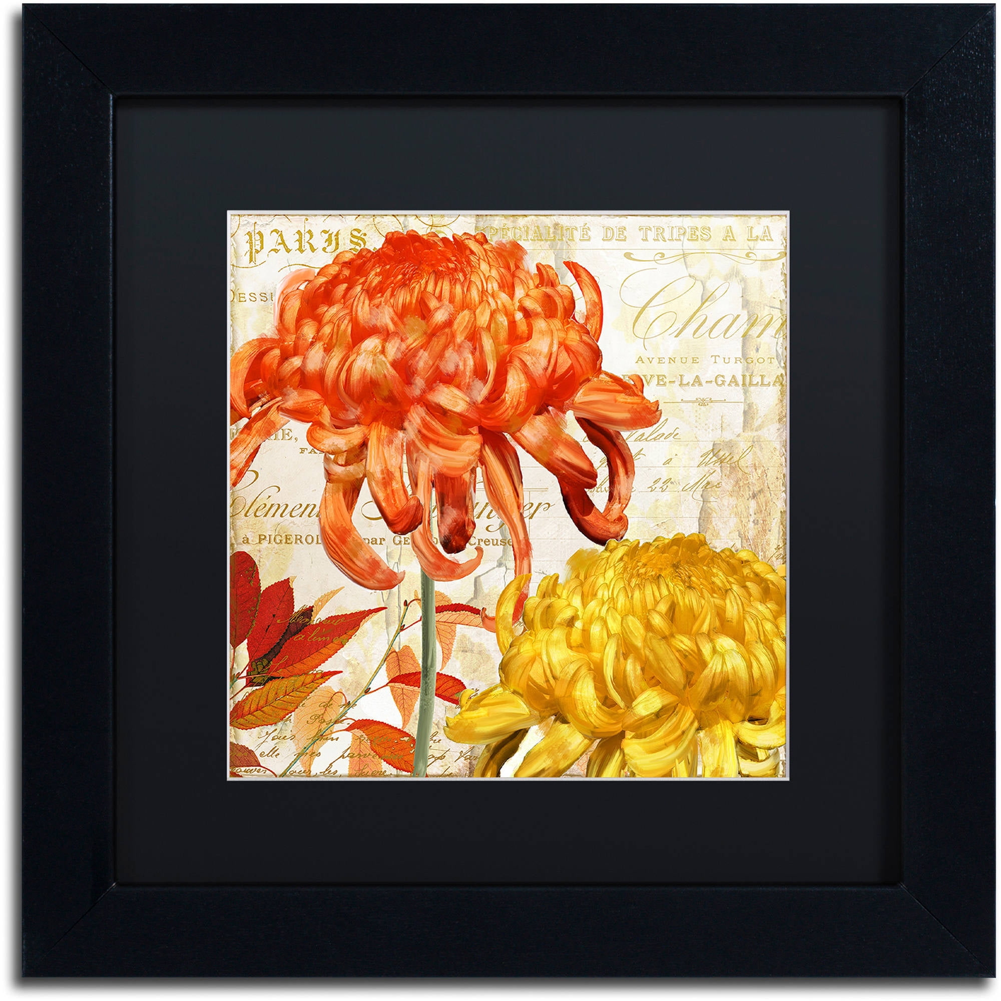 Trademark Fine Art "Chrysanthemums I" Canvas Art by Color Bakery Black Matte, Black Frame