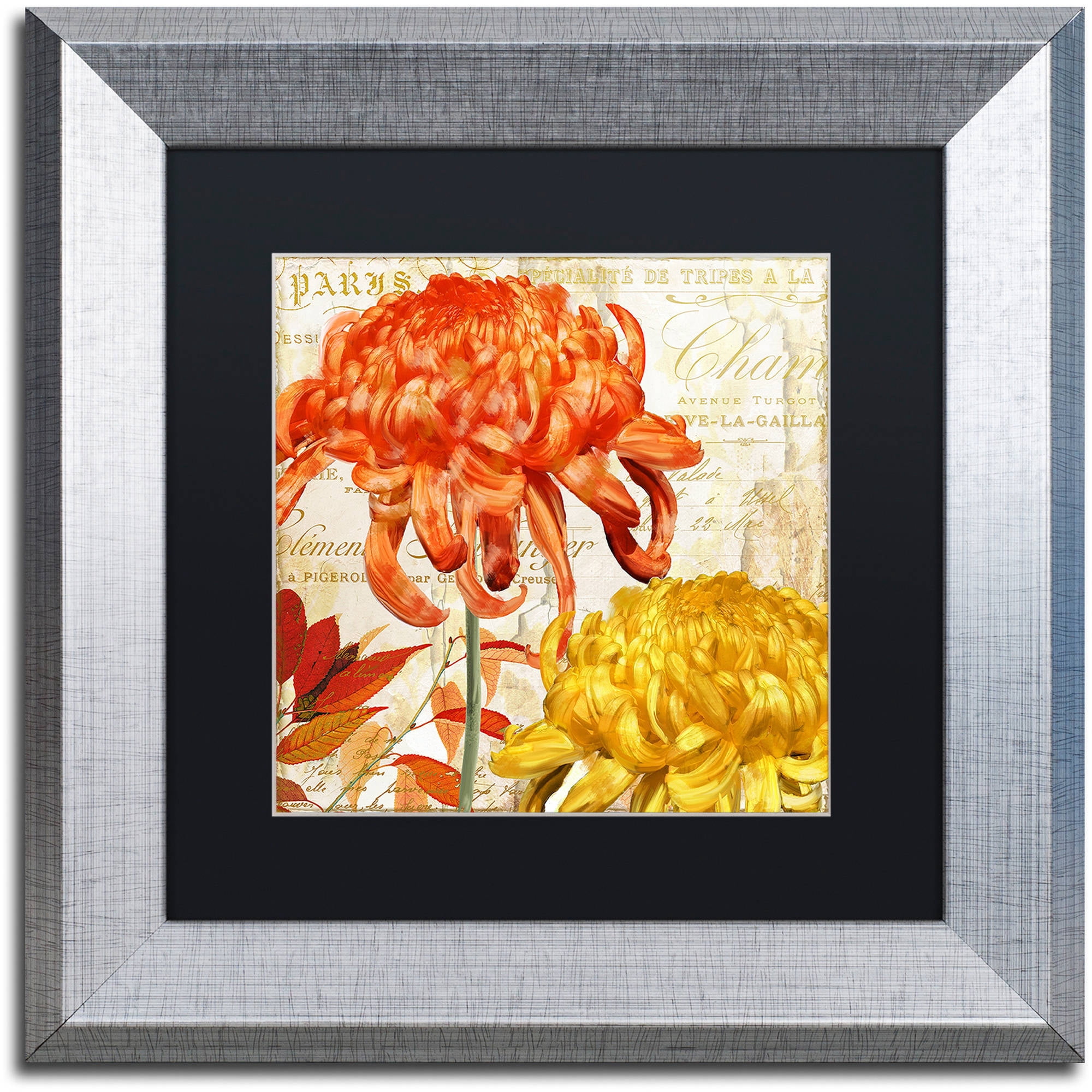 Trademark Fine Art "Chrysanthemums I" Canvas Art by Color Bakery Black Matte, Silver Frame