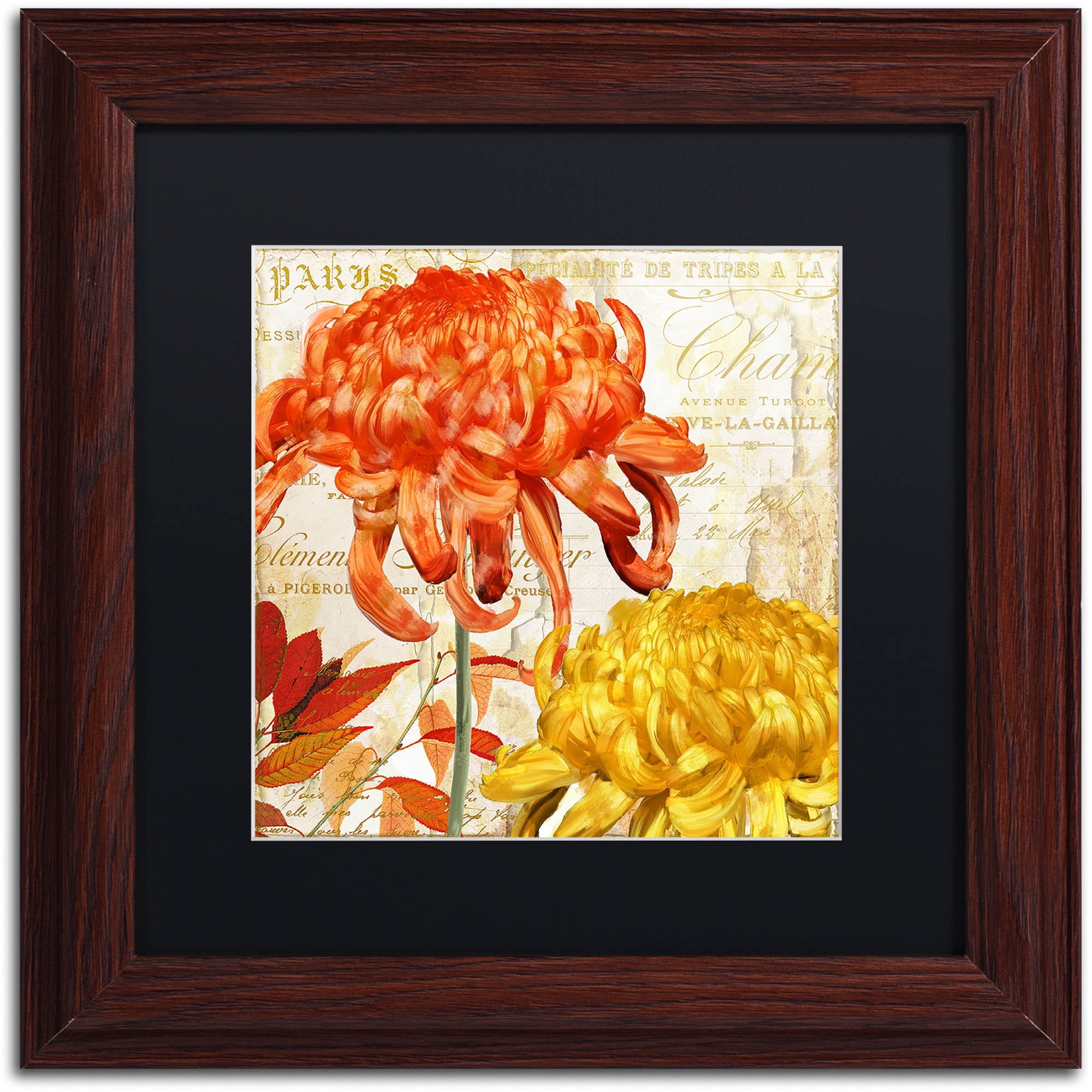 Trademark Fine Art "Chrysanthemums I" Canvas Art by Color Bakery Black Matte, Wood Frame