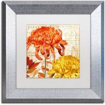 Trademark Fine Art "Chrysanthemums I" Canvas Art by Color Bakery White Matte, Silver Frame