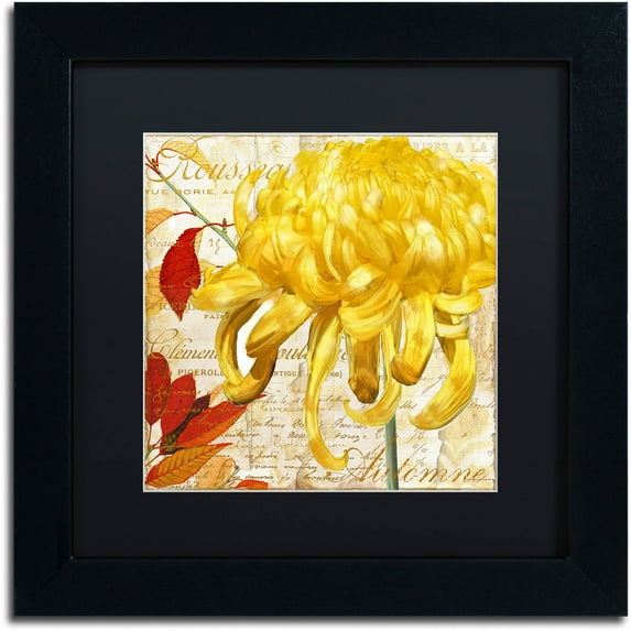 Trademark Fine Art "Chrysanthemums II" Canvas Art by Color Bakery Black Matte, Black Frame