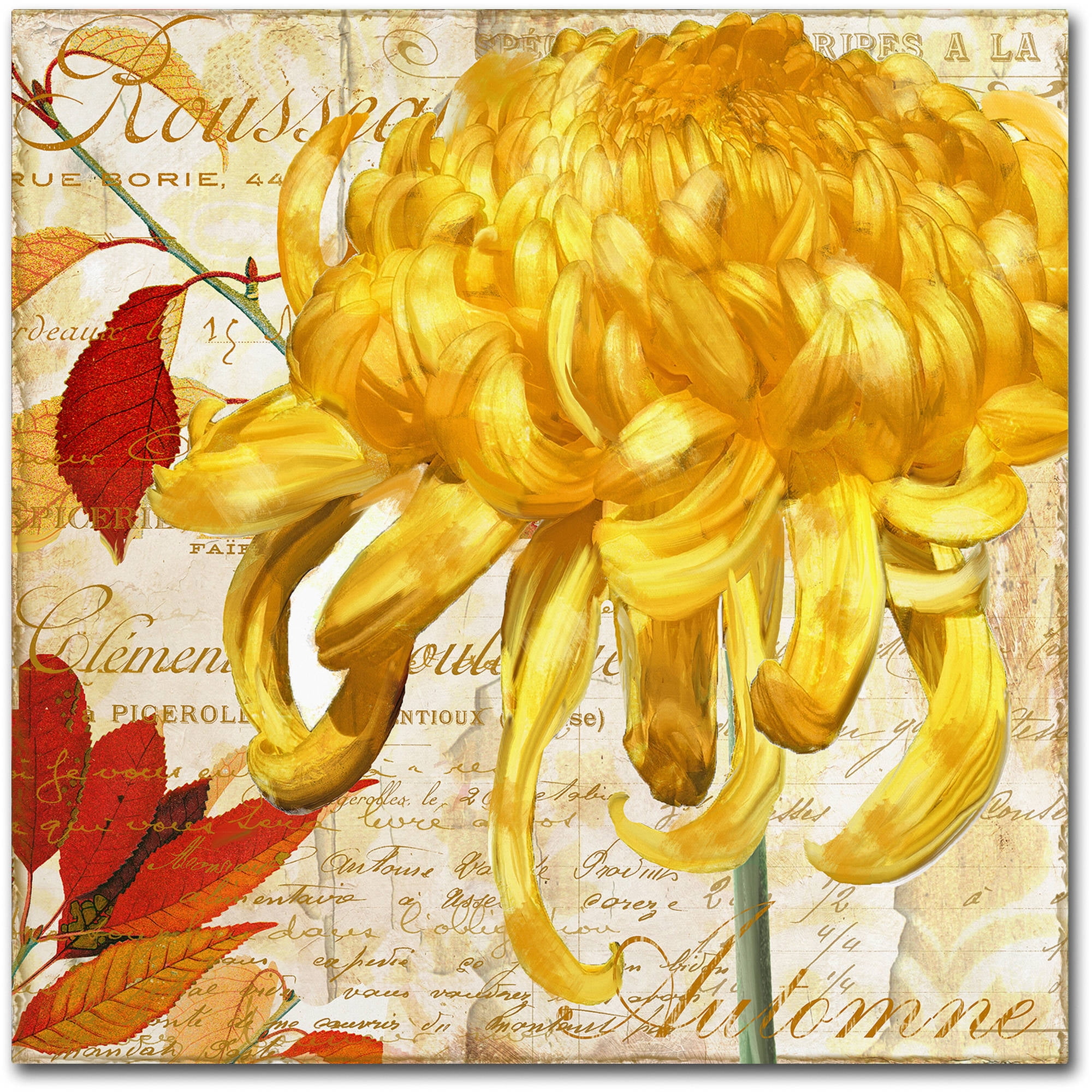 Yellow Chrysanthemums on Canvas with Birch Wood Frame