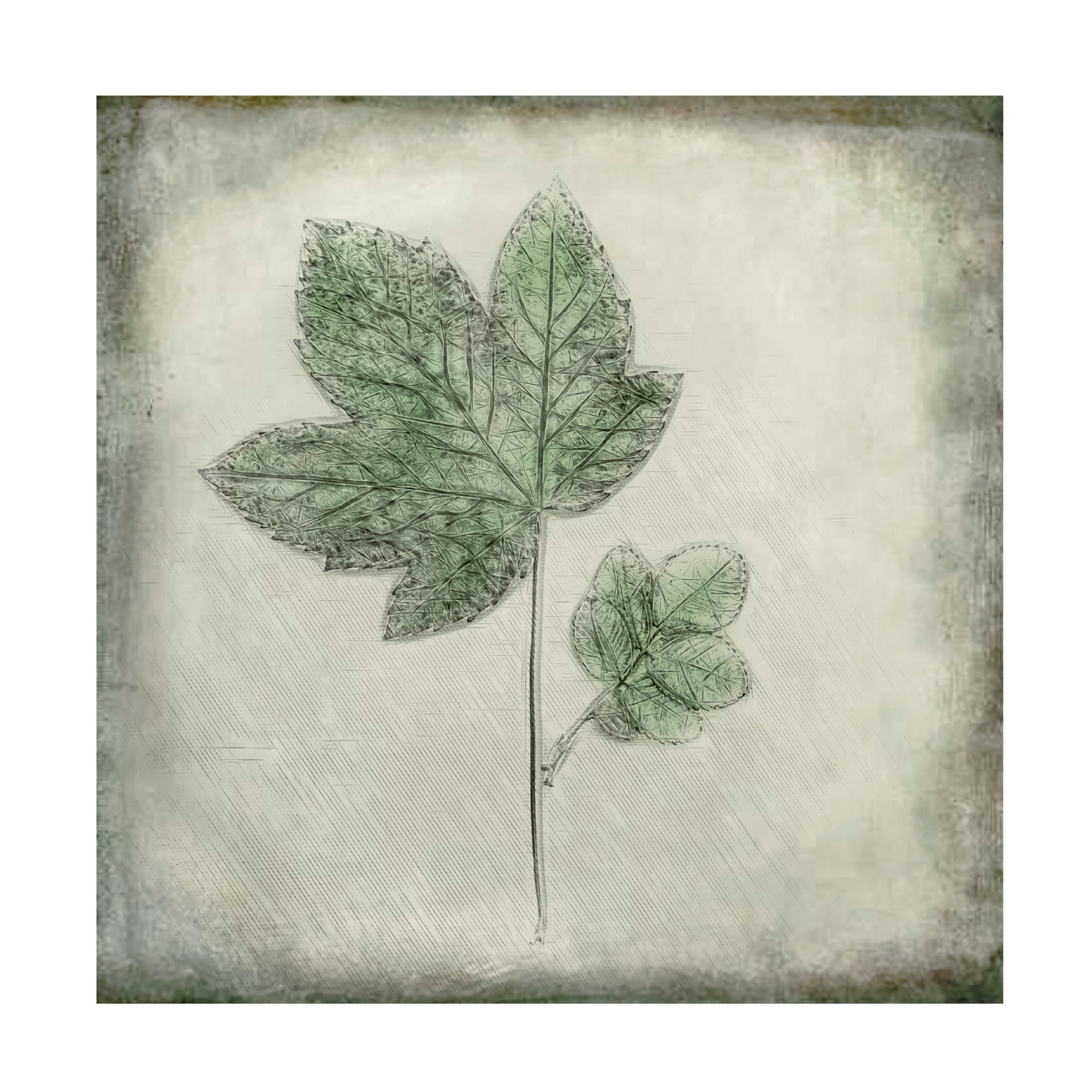 Trademark Fine Art Cicek Kiral Before The Decay Canvas Wall Art