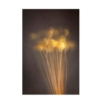 Trademark Fine Art Cicek Kiral Curious Heads Canvas Wall Art