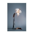 thumbnail image 1 of Trademark Fine Art Cicek Kiral  Elegant Lines Canvas Wall Art, 1 of 4