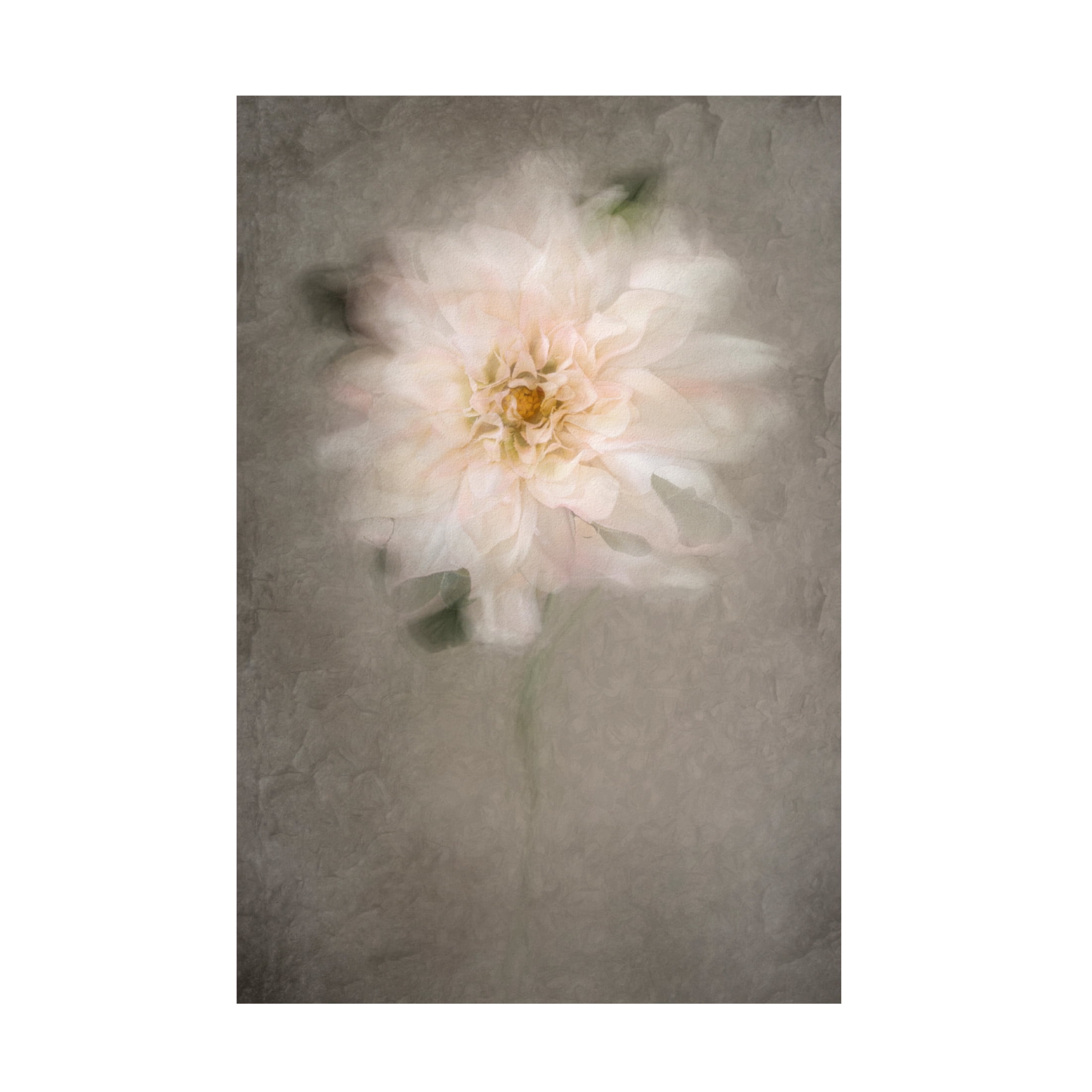 Trademark Fine Art Cicek Kiral For The Bride Canvas Wall Art
