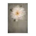 thumbnail image 1 of Trademark Fine Art Cicek Kiral For The Bride Canvas Wall Art, 1 of 4