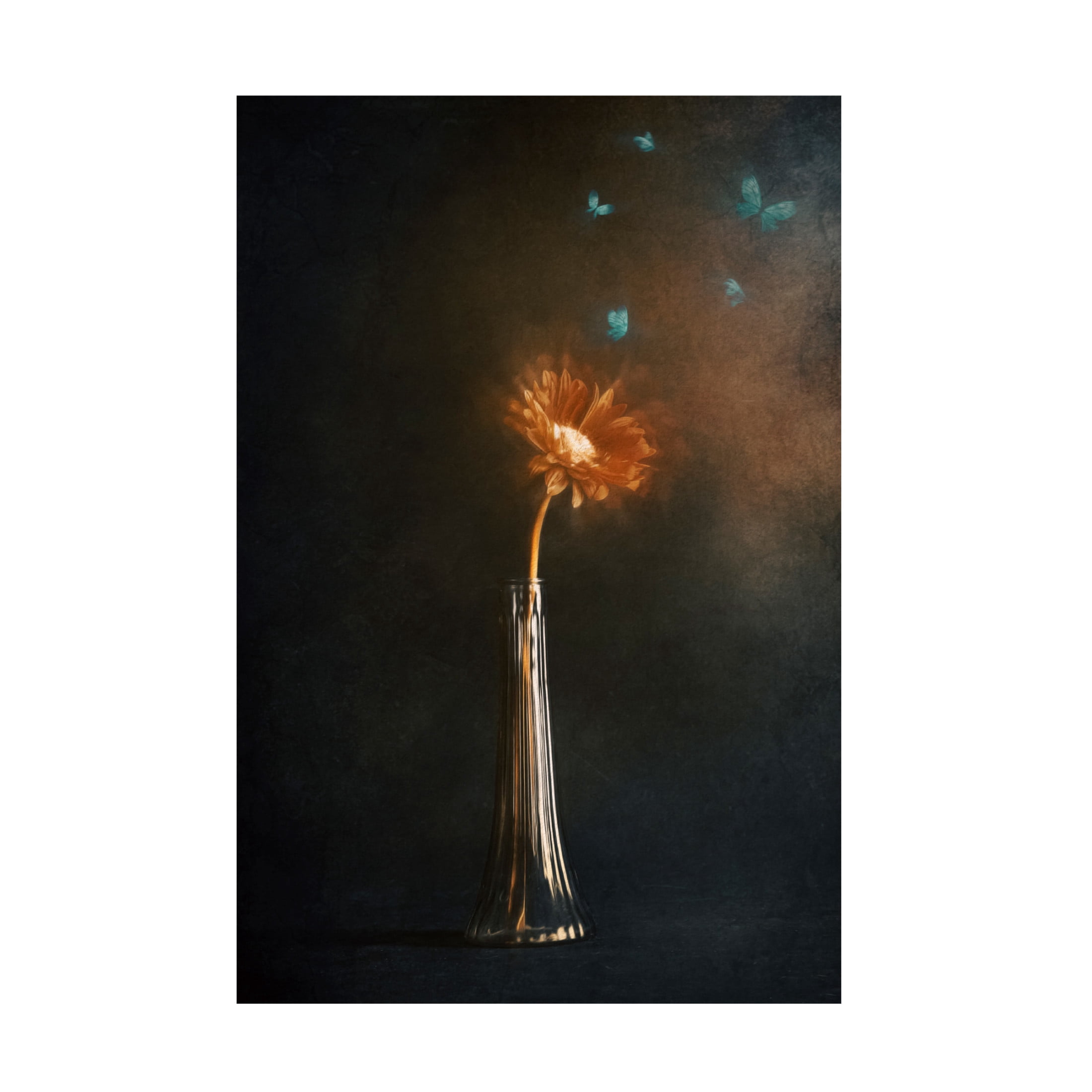 Trademark Fine Art Cicek Kiral Peaceful Moments Canvas Wall Art