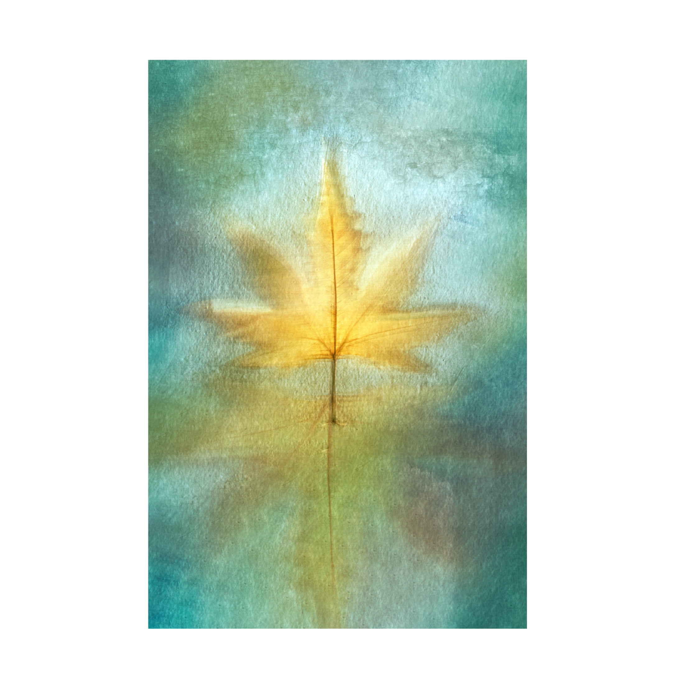 Trademark Fine Art Cicek Kiral Reflections Canvas Wall Art