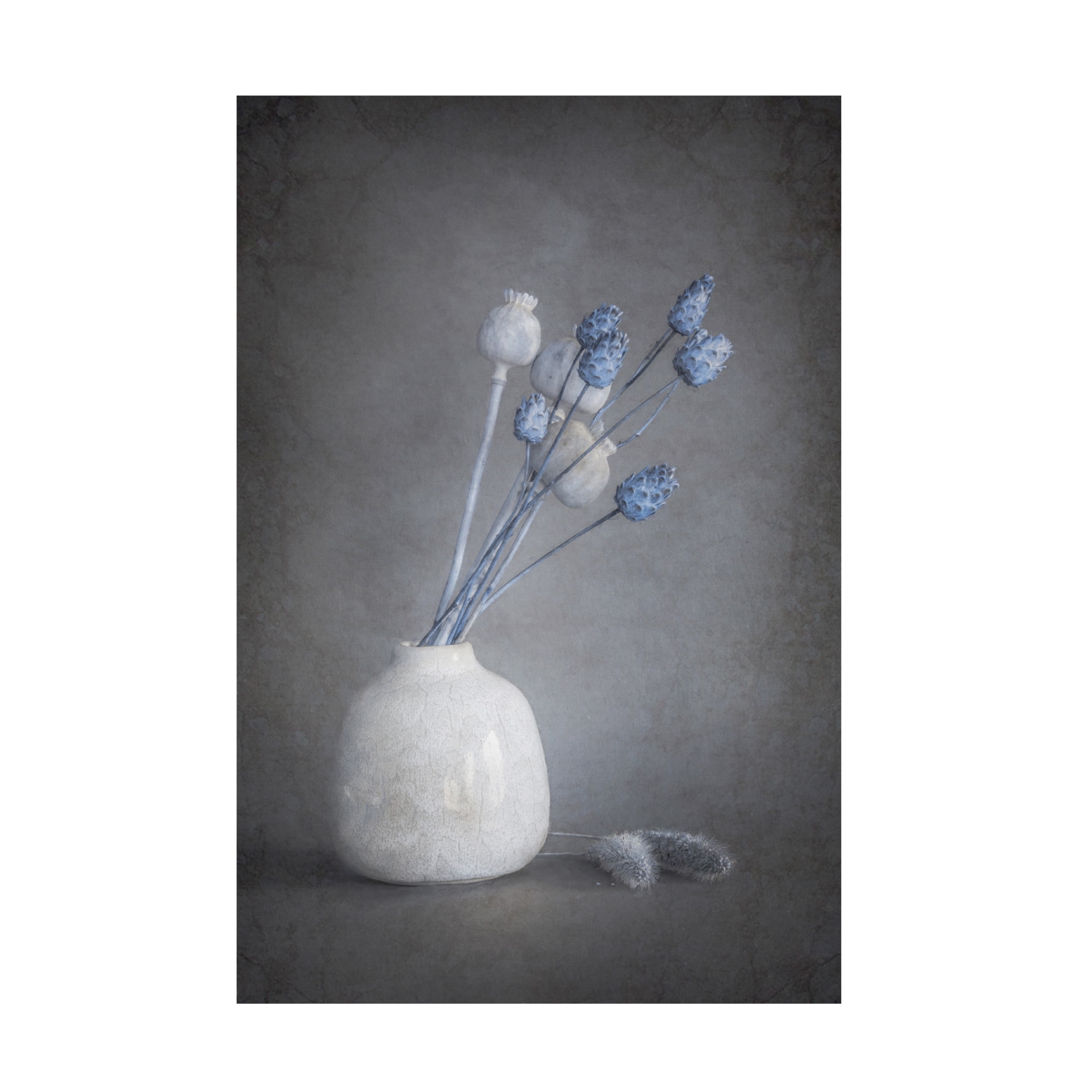 Trademark Fine Art Cicek Kiral Serenity Canvas Wall Art