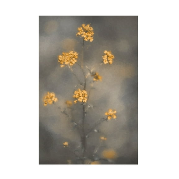 Trademark Fine Art Cicek Kiral Spring Vibes Canvas Wall Art