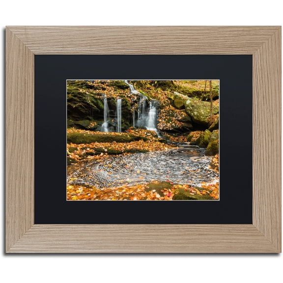 Trademark Fine Art "Circle Of Leaves" Canvas Art by Michael Blanchette Photography Black Matte, Birch Frame